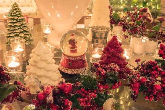 WeRChristmas Palla Di Neve Cucciolo E Cardinale - Base In Betulla, Decorazione Natalizia 12cm