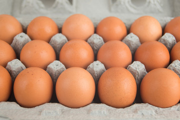 eggs in egg box on white background