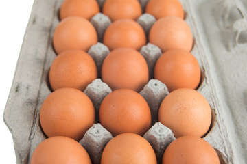 eggs in egg box on white background
