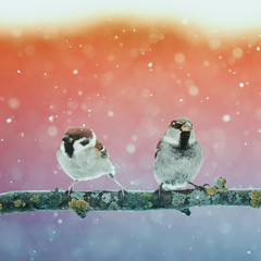  pair of funny birds in fancy Christmas Park during a snowfall