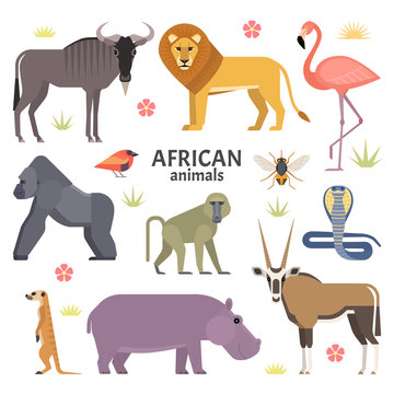 Vector illustration of African animals and birds: hippopotamus, lion, gorilla, baboon, flamingos, cobra, wildebeest, oryx antelope, meerkat, isolated on white background.
