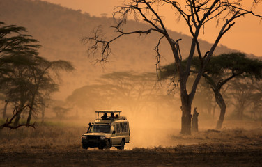Safari in Africa fuoristrada - obrazy, fototapety, plakaty