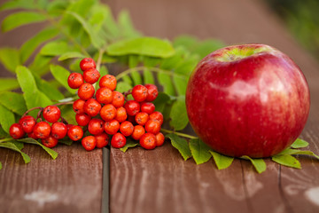 appetizing red berries