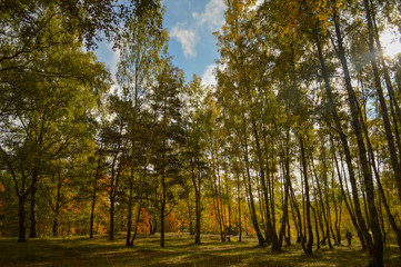 Landscape of nature in September.