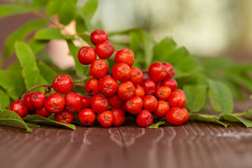 appetizing red berries