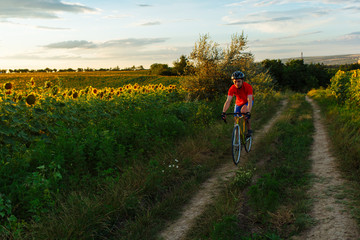 Fototapeta premium The cyclist in red blue form rides along fields of sunflowers. In background a beautiful blue sky.