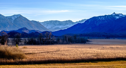 Fototapeta premium landscape murnauer moos - bavaria