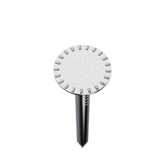 Steel nail. Top view. Isolated on white background.
