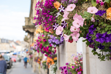 Fototapeta na wymiar Colorful Flowers hanged along the street