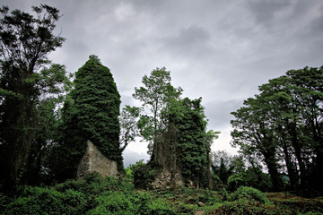 Ruins