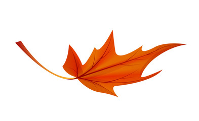 Autumn Golden Yellow Leaf Vector Illustration Icon
