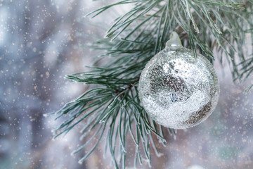 silver ball weighs on the pine branch
