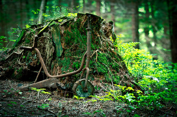 Old rusty tricycle in the forest