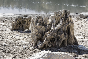 La escasez de falta de lluvia 