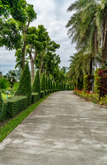 Obraz premium Asphalt country road