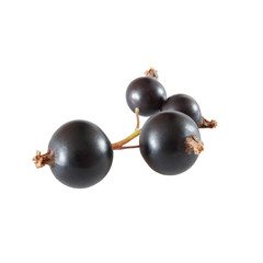 Black currant berries isolated on white background with clipping path