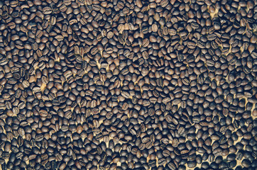 a thin layer of coffee beans
