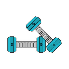 Dumbbells gym weigth icon vector illustration graphic design