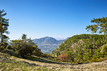 Mountain landscape in a short summer season in the afternoon.