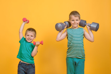 Two boys lift dumbbells, go in for sports