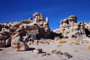 eroded rocks in petrified forest NP