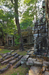 Ta Prohm temple, Angkor Wat, Cambodia