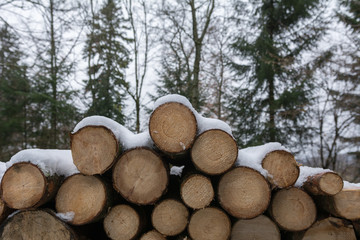 Holzstapel im Wald mit Schnee