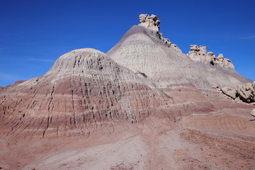 eroded rocks in petrified forest NP