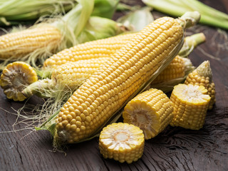 Ear of maize or corn on the dark wooden background.