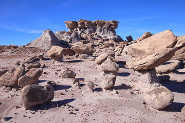 eroded rocks in petrified forest NP