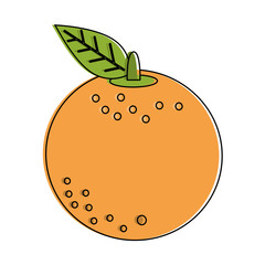 Orange citric fruit icon vector illustration graphic design