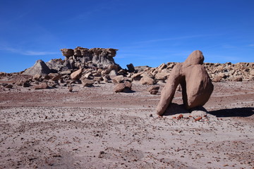 eroded rocks in petrified forest NP