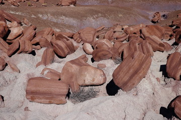 eroded rocks in petrified forest NP