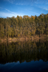 Autumn river