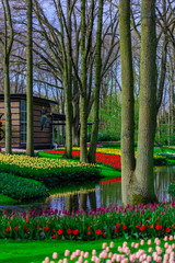 Keukenhof gardens