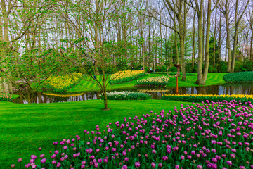Keukenhof gardens