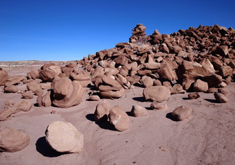 eroded rocks in petrified forest NP