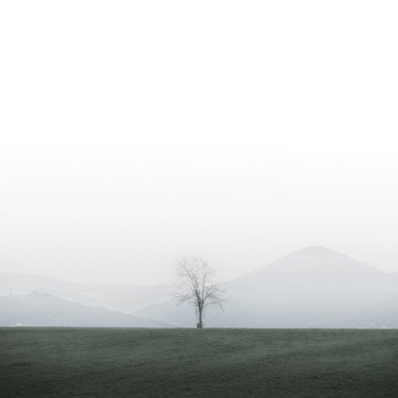 Alleinstehender Baum in minimalsitscher Landschaft mit Bergen als Silhouette im Hintergrund