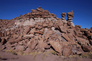 eroded rocks in petrified forest NP