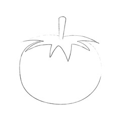Tomato fresh vegetable icon vector illustration graphic design