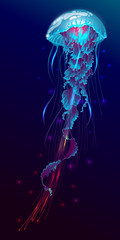 Vector illustration of fantasy glowing jellyfish in the ocean - obrazy, fototapety, plakaty