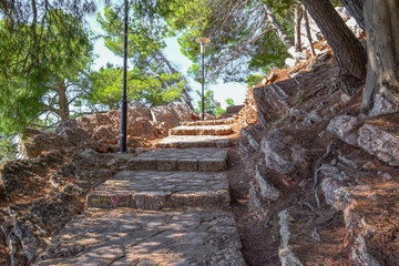 Fototapeta premium Stone staircase in a pine forest. Sunlight falls on the stone steps