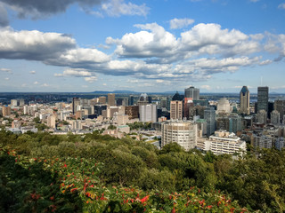 Montréal City