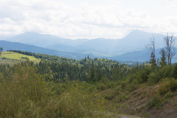 Obraz premium Mountains of the Carpathians