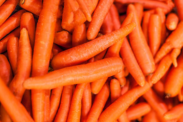 Organic carrot. Food background. Fresh vegetables top view..