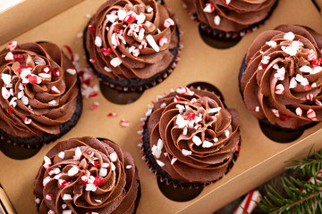 Chocolate peppermint cupcakes with candy cane