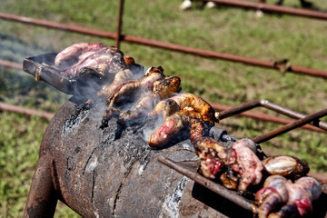 Calf fries or Rocky Mountain Oysters