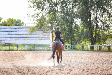Teenager girl riding horse on farm