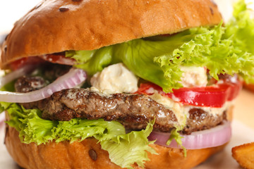 Fresh tasty burger, closeup