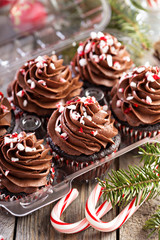 Chocolate peppermint cupcakes with candy cane